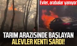 Tarım arazisinde başlayan alevler kenti sardı! Evler, arabalar yanıyor