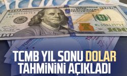 Türkiye Cumhuriyeti Merkez Bankası yıl sonu dolar tahminini açıkladı