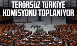 Terörsüz Türkiye Komisyonu toplanıyor