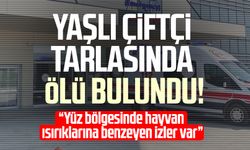 Yaşlı çiftçi tarlasında ölü bulundu! "Domuz saldırısı" şüphesi