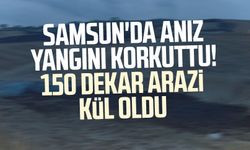 Samsun'da anız yangını korkuttu! 150 dekar arazi kül oldu