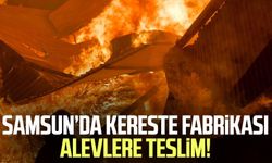Samsun’da kereste fabrikası alevlere teslim!