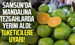 Samsun'da mandalina tezgahlarda yerini aldı: Tüketicilere uyarı!