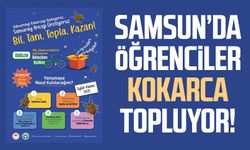 Samsun’da öğrenciler kokarca topluyor!
