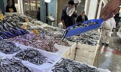 19 Mayıs’ta Tarım ve Balıkçılığın Günlük Hayata Etkisi