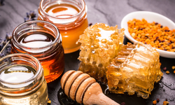 Samsun’un Kırsal Pazarları: Fındık, Bal ve El Ürünleriyle İlçe Turu