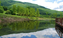 Samsun’un Tarihi İlçeleri: Vezirköprü, Ladik, Tekkeköy ve Bafra’nın Mirası