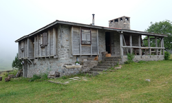 Asarcık’ta Yayla Kültürü ve Doğal Beslenme Geleneği