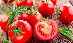 Bafra Ovası’nda Üretilen Sebzeler ve Samsun Mutfağındaki Önemi