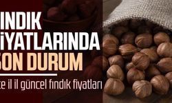 Fındık fiyatları ne kadar oldu? İşte 31 Ekim Cuma il il fındık fiyatları