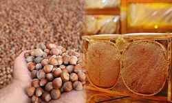 Salıpazarı’nda Fındık ve Bal Üretiminin Önemi