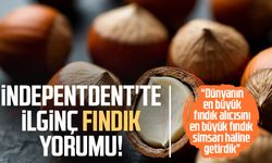 İndepentdent'te ilginç fındık yorumu: "Simsar haline getirdik"