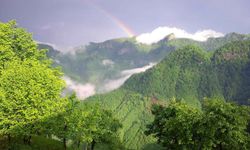 Salıpazarı’nda Fındık Bahçeleri Arasında Sonbahar Fotoğraf Turu