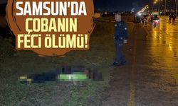 Samsun'da çobanın feci ölümü: Ali Şener hayatını kaybetti