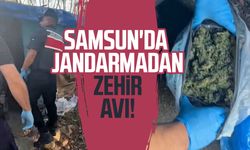 Samsun'da jandarmadan zehir avı!