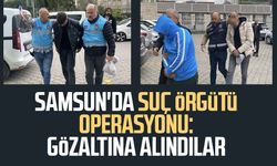 Samsun'da suç örgütü operasyonu: Gözaltına alındılar