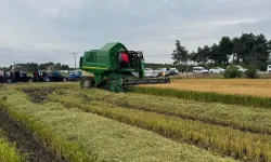 Bafra’da Köy Yaşamı ve Tarım Kültürü