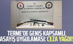Terme’de geniş kapsamlı asayiş uygulaması: Ceza yağdı!