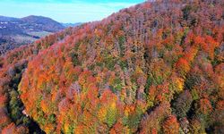 Nebiyan Dağı’nda Bulutların Üzerinde Yürüyüş Deneyimi