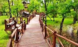 19 Mayıs İlçesi Gezi Rehberi: Kızılırmak Kıyısı, Doğa Yolları ve Sakin Rotalar