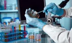 Laboratuvar sarf ve biyomedikal malzeme alımı yapılacak