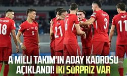 A Milli Takım'ın aday kadrosu açıklandı! İki sürpriz var