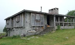 Asarcık Yaylalarında Doğal Yaşam