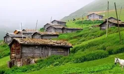 Asarcık’ta Yayla Keşfi:Yüksek Rotalar ve Doğal Yaşam