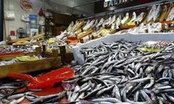 Samsun Balık Sezonu Başladı: En Taze Balık Nerede Yenir?