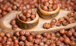 Salıpazarı’nda fındık, bal ve köy ürünleriyle pazar kültürü