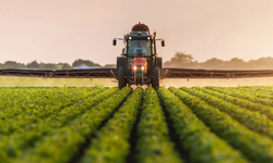 Kavak’ta Hayvancılık ve Organik Üretimin Önemi