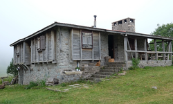 Asarcık Yaylaları’nda Sessiz Tatil ve Doğal Yaşam