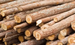 Asarcık Köylerinde Kış Hazırlıkları ve Geleneksel Dayanışma