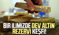 Bir ilimizde dev altın rezervi keşfi!