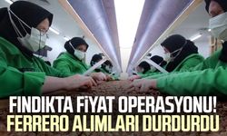 Fındıkta fiyat operasyonu! Ferrero alımları durdurdu