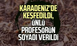 Karadeniz'de keşfedildi, ünlü profesörün soyadı verildi