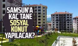 Samsun'a kaç sosyal konut yapılacak?
