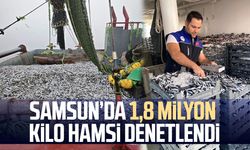 Samsun’da 1,8 milyon kilo hamsi denetlendi