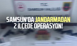 Samsun'da jandarmadan 2 ilçede operasyon!