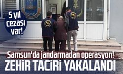 Samsun'da jandarmadan operasyon! Zehir taciri yakalandı