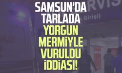 Samsun'da tarlada yorgun mermiyle vuruldu iddiası!