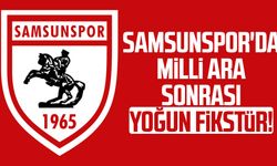 Samsunspor'da milli ara sonrası yoğun fikstür!