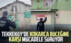 Tekkeköy'de kokarca böceğine karşı mücadele devam ediyor