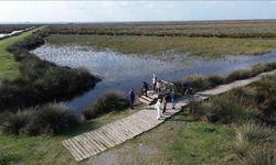 Bafra Kızılırmak Deltası: Türkiye’nin En Sessiz Doğa Cenneti