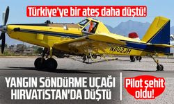 Yangın söndürme uçağı düştü: Şehidimiz var!