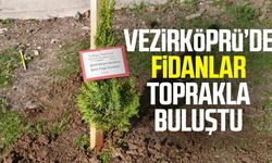 Vezirköprü’de fidanlar toprakla buluştu