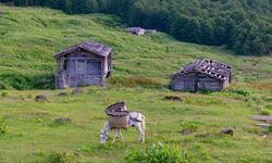 Yayla Kültürü ve Doğayla İç İçe Köy Yaşamı