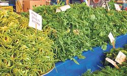 Samsun’da Doğadan Toplanan Otların Yemeklerde Kullanımı