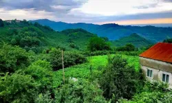 Salıpazarı’nda Geleneksel Köy Yaşamının Sürekliliği