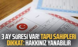3 ay süresi var! Tapu sahipleri dikkat: Hakkınız yanabilir